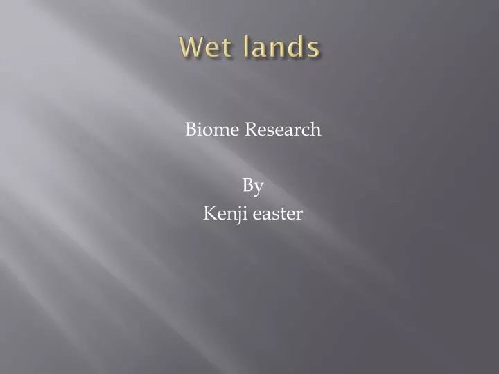 wet lands