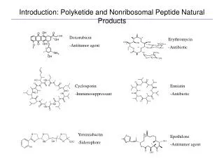 Introduction: Polyketide and Nonribosomal Peptide Natural Products