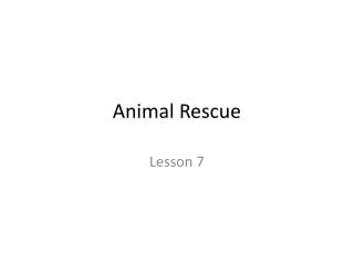 Animal Rescue