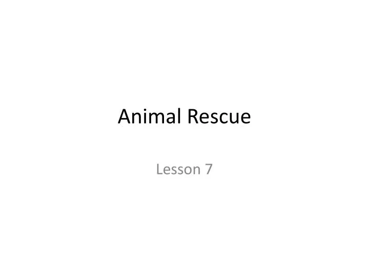 animal rescue