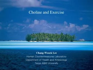 Choline and Exercise