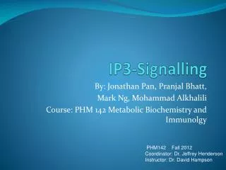 IP3-Signalling
