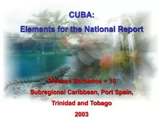 CUBA: Elements for the National Report Process Barbados + 10 Subregional Caribbean, Port Spain,