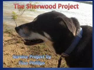 The Sherwood Project