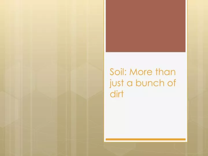 soil more than just a bunch of dirt