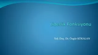 liderlik fonksiyonu