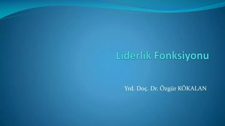 liderlik fonksiyonu