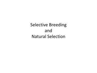 Selective Breeding and Natural Selection