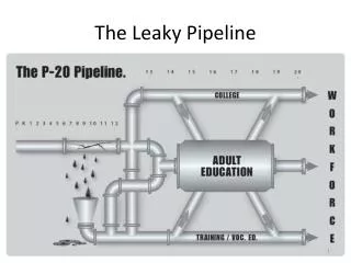 The Leaky Pipeline