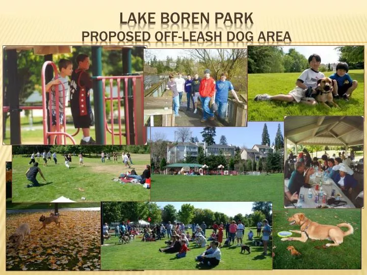 lake boren park proposed off leash dog area