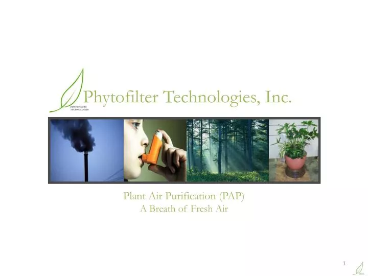 plant air purification pap a breath of fresh air
