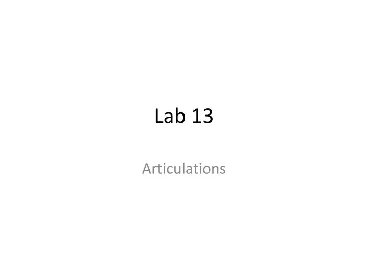 lab 13