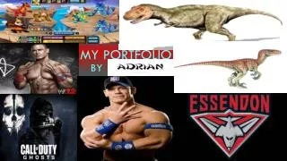my portfolio