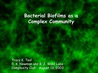 Bacterial Biofilms as a Complex Community