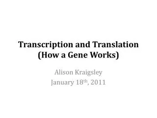 Transcription and Translation (How a Gene Works)