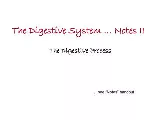 the digestive system notes ii