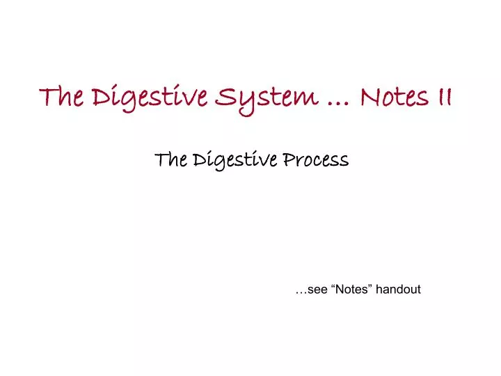the digestive system notes ii