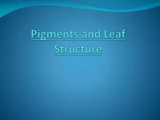 Pigments and Leaf Structure