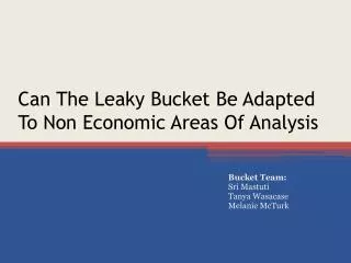 Can The Leaky Bucket Be Adapted To Non Economic Areas Of Analysis