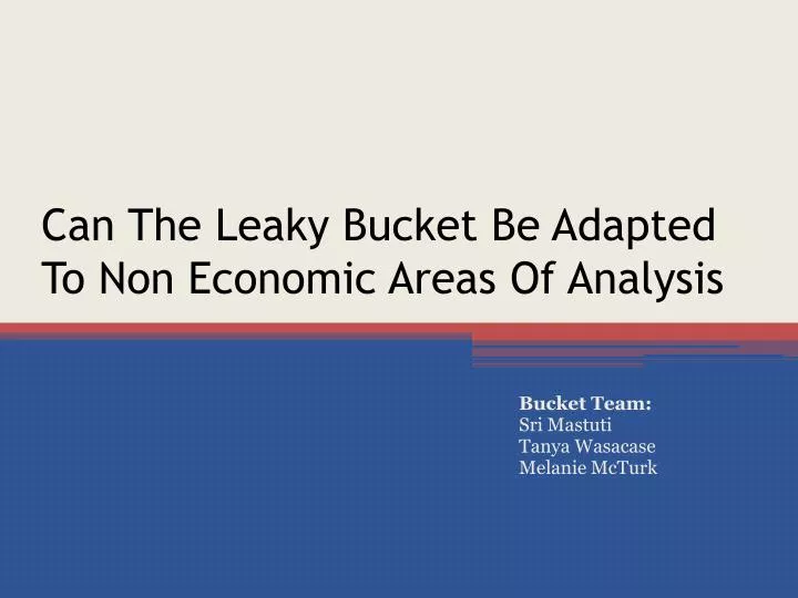 can the leaky bucket be adapted to non economic areas of analysis