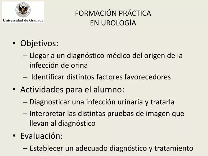 formaci n pr ctica en urolog a