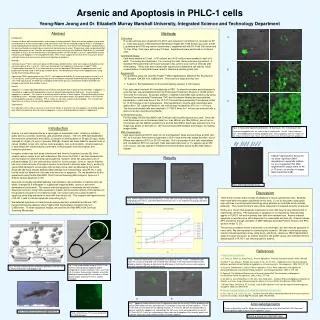 Arsenic and Apoptosis in PHLC-1 cells