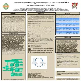 Cost Reduction in Bioenergy Production through Carbon Credit Sales