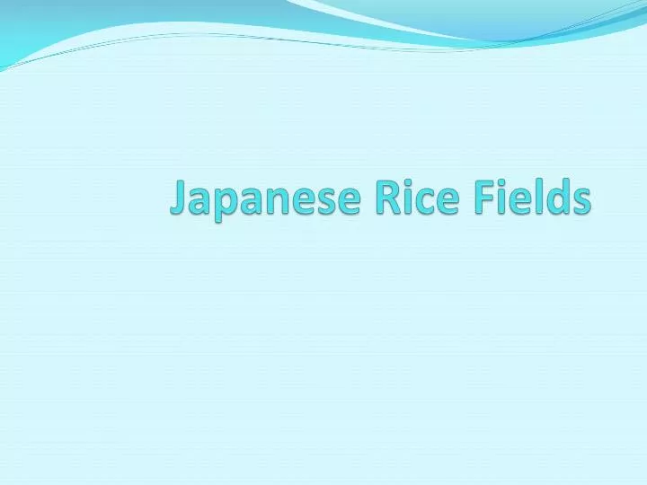 japanese rice fields