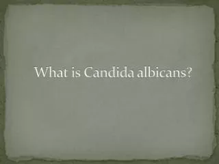 What is Candida albicans ?