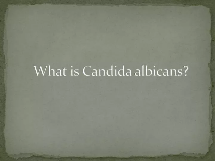 what is candida albicans