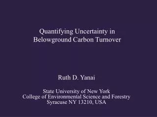 Quantifying Uncertainty in Belowground Carbon Turnover