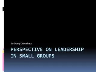 Perspective on Leadership in small groups