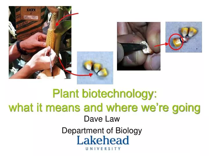 plant biotechnology what it means and where we re going