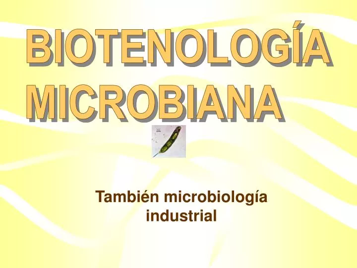 tambi n microbiolog a industrial