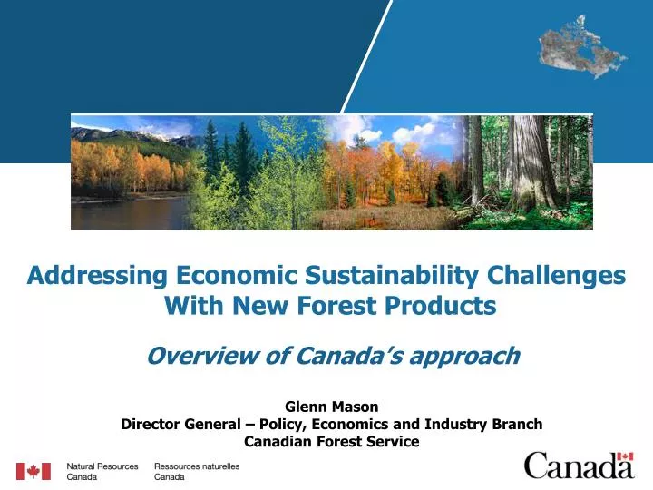 addressing economic sustainability challenges with new forest products