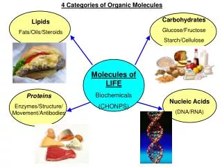 Lipids Fats/Oils/Steroids