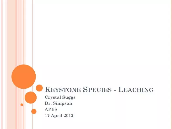 keystone species leaching