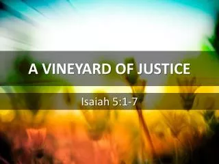 A VINEYARD OF JUSTICE