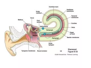 talkorigins/faqs/comdesc/section1.html