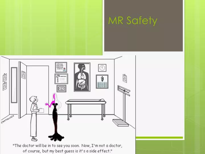 mr safety