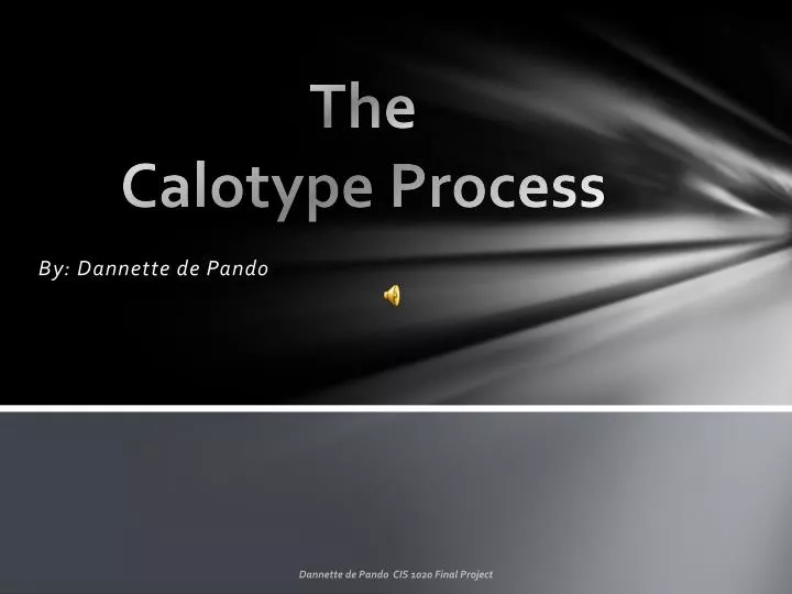 the calotype process