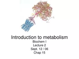 Introduction to metabolism