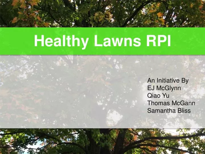 healthy lawns rpi