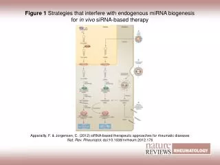 Apparailly, F. &amp; Jorgensen, C. (2012) siRNA-based therapeutic approaches for rheumatic diseases