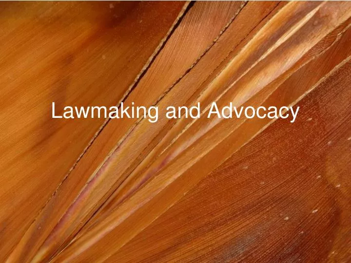 lawmaking and advocacy