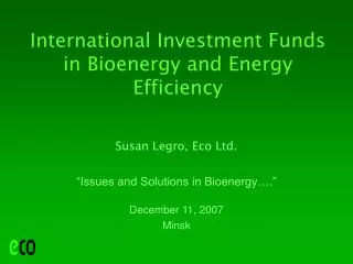 International Investment Funds in Bioenergy and Energy Efficiency