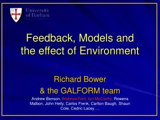 Feedback, Models and the effect of Environment