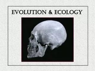Evolution &amp; Ecology