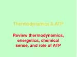 Thermodynamics &amp; ATP - slide 1