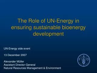 The Role of UN-Energy in ensuring sustainable bioenergy development